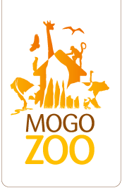 Mogo Zoo - Accommodation Georgetown