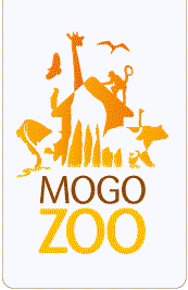 Mogo Zoo - Accommodation Georgetown 0