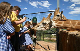 National Zoo & Aquarium - Accommodation Georgetown 2