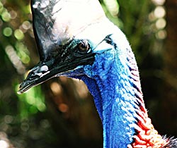 Northern Brisbane And Moreton Bay QLD Accommodation Georgetown