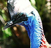 Alma Park Zoo - Accommodation Georgetown