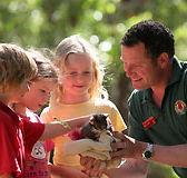 Cleland Wildlife Park - Accommodation Georgetown