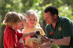 Cleland Wildlife Park - Accommodation Georgetown 0