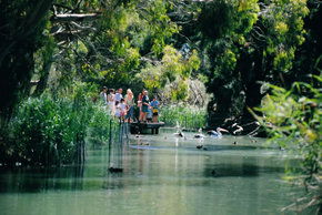 Cleland Wildlife Park - Accommodation Georgetown 1