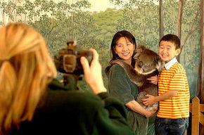 Cleland Wildlife Park - Accommodation Georgetown 2