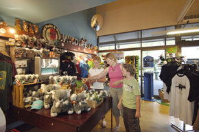 Cleland Wildlife Park - Accommodation Georgetown 3