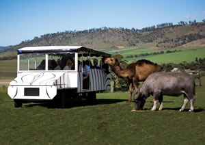 Zoo Doo Wildlife Park - Accommodation Georgetown 2