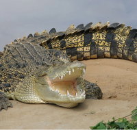 Dundee's Wildlife Park - Accommodation Georgetown