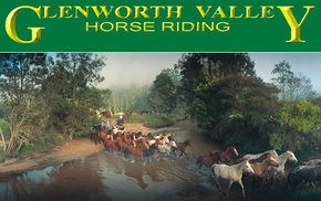 Peats Ridge NSW Accommodation Georgetown