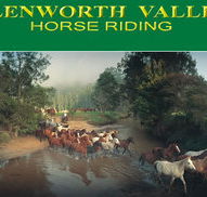 Glenworth Valley Horseriding - Accommodation Georgetown