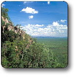 Kakadu National Park - Accommodation Georgetown 2