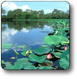Kakadu National Park - Accommodation Georgetown 3