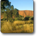 Uluru - Kata Tjuta National Park - Accommodation Georgetown