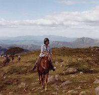 High Country Horses - Accommodation Georgetown