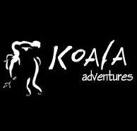 Koala Adventures - Accommodation Georgetown