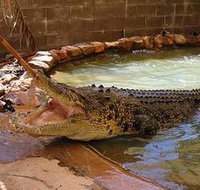 Wyndham Zoological Gardens and Crocodile Park - Accommodation Georgetown