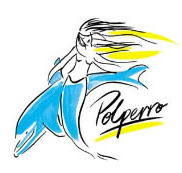 Polperro Dolphin Swims - Accommodation Georgetown