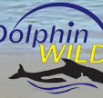 Dolphin Wild - Accommodation Georgetown