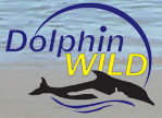 Dolphin Wild - Accommodation Georgetown 0