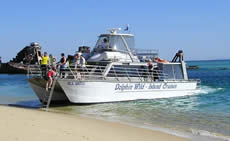 Dolphin Wild - Accommodation Georgetown 2