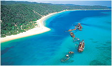 Dolphin Wild - Accommodation Georgetown 3