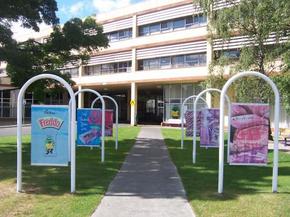 Cadbury Chocolate Factory Tour - Accommodation Georgetown 2