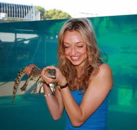 Crocosaurus Cove - Accommodation Georgetown