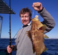 Downunder Charters - Accommodation Georgetown