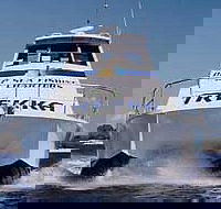 Sunshine Coast Fishing Charters - Accommodation Georgetown