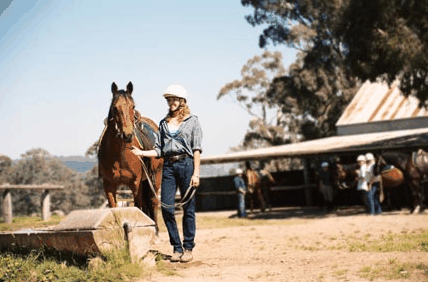 Watsons Trail Rides - Accommodation Georgetown