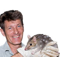 Geckoes Wildlife Presentations - Accommodation Georgetown