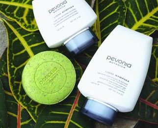 AQueous Spa - Accommodation Georgetown 1