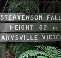 Stevensons Falls - Accommodation Georgetown