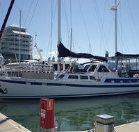 Coral Sea Dreaming Dive and Sail - Accommodation Georgetown