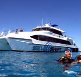 Silver Swift - Accommodation Georgetown