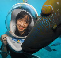 Sunlover Reef Cruises - Accommodation Georgetown