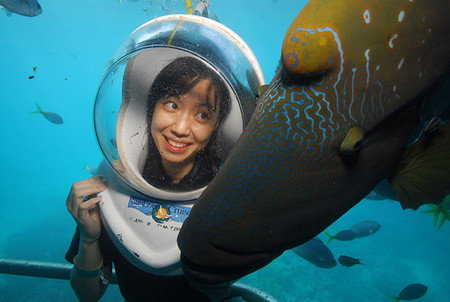 Sunlover Reef Cruises - Accommodation Georgetown 0