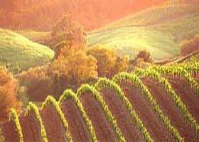 Meridian Tours - Accommodation Georgetown 2