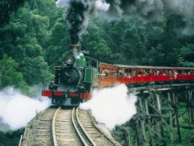 Gray Line Tours Melbourne - Accommodation Georgetown 1