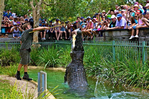 Australian Reptile Park - Accommodation Georgetown 4