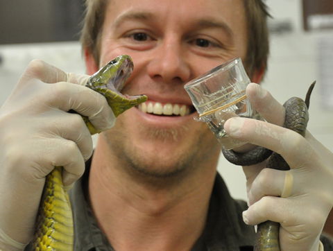 Australian Reptile Park - Accommodation Georgetown 9