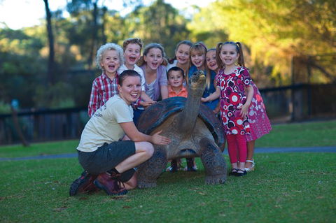 Australian Reptile Park - Accommodation Georgetown 11