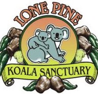 Lone Pine Koala Sanctuary - Accommodation Georgetown