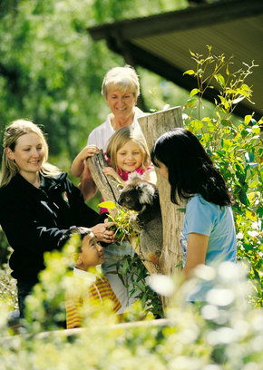 Cleland Wildlife Park - Accommodation Georgetown 5