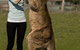 Zoo Doo Wildlife Park - thumb 5