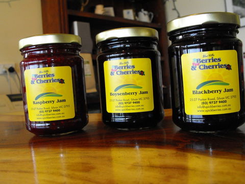 Blue Hills Berries & Cherries - Accommodation Georgetown 1