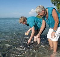 Aquascene Fish Feeding Sanctuary - Accommodation Georgetown