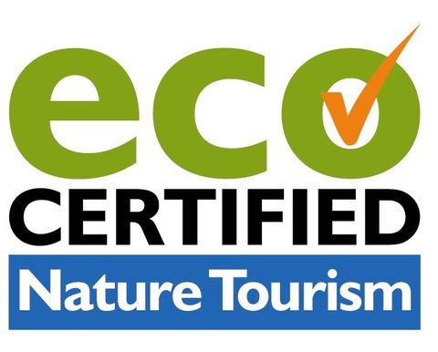 Aquascene Fish Feeding Sanctuary - Accommodation Georgetown 4