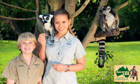 Australia Zoo - Accommodation Georgetown 2