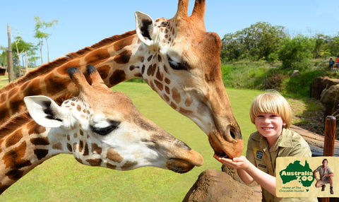 Australia Zoo - Accommodation Georgetown 4